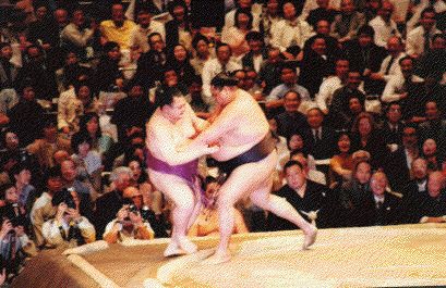 Ake pushes opponant out of ring.